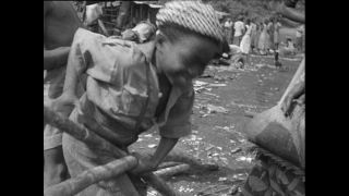 Link to Video | Paul Karl Lieberenz, Kamerun