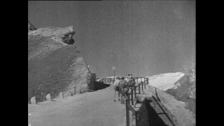 Link to Video | Paul Karl Lieberenz