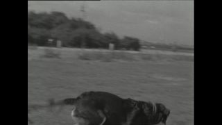 Link to Video | Paul Karl Lieberenz