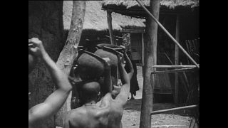 Link to Video | Paul Karl Lieberenz