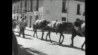 Link to Video | Paul Karl Lieberenz