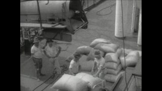 Link to Video | Paul Karl Lieberenz