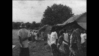 Link to Video | Paul Karl Lieberenz, airplane, Kamerun