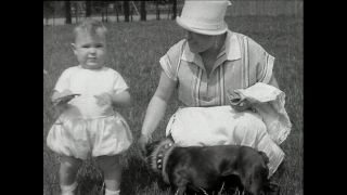 Link to Video | Paul Karl Lieberenz