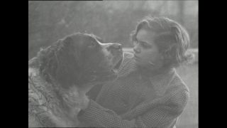 Link to Video | Paul Karl Lieberenz