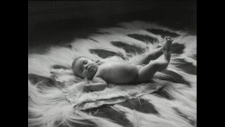 Link to Video | Paul Karl Lieberenz