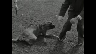 Link to Video | Paul Karl Lieberenz