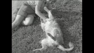 Link to Video | Paul Karl Lieberenz