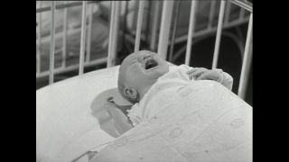 Link to Video | Paul Karl Lieberenz