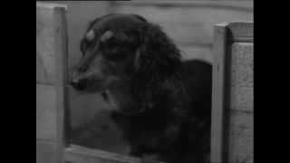 Link to Video | Paul Karl Lieberenz