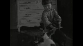 Link to Video | Paul Karl Lieberenz