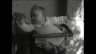 Link to Video | Paul Karl Lieberenz