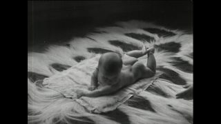 Link to Video | Paul Karl Lieberenz