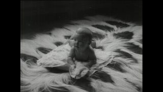 Link to Video | Paul Karl Lieberenz