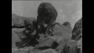 Link to Video | Paul Karl Lieberenz