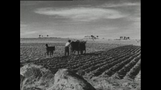 Link to Video | Paul Karl Lieberenz