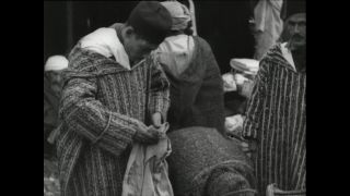 Link to Video | Paul Karl Lieberenz