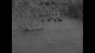 Link zum Video | Paul Lieberenz