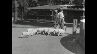 Link to Video | Paul Karl Lieberenz