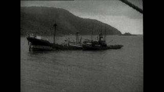 Link to Video | Paul Karl Lieberenz