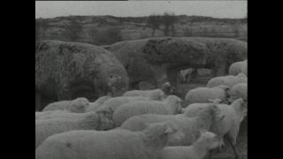 Link to Video | Paul Karl Lieberenz