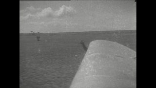 Link to Video | Paul Karl Lieberenz, airplane, Kamerun