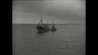 Link to Video | Paul Karl Lieberenz