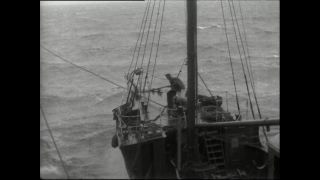 Link to Video | Paul Karl Lieberenz