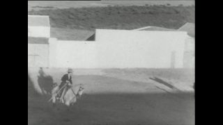 Link to Video | Paul Karl Lieberenz