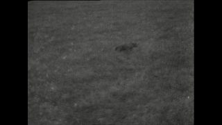 Link to Video | Paul Karl Lieberenz, airplane, Kamerun