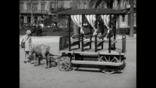 Link to Video | Paul Karl Lieberenz