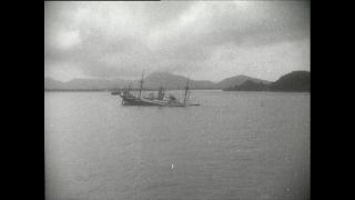 Link to Video | Paul Karl Lieberenz