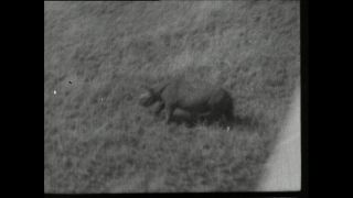 Link to Video | Paul Karl Lieberenz, airplane, Kamerun