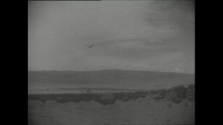 Link to Video | Paul Karl Lieberenz, airplane, Kamerun