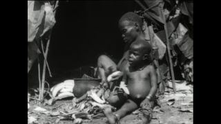 Link to Video | Paul Karl Lieberenz