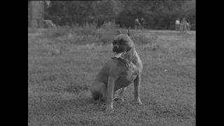 Link to Video | Paul Karl Lieberenz