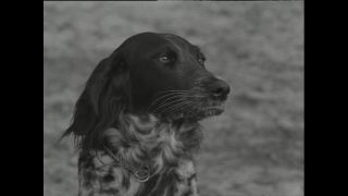 Link to Video | Paul Karl Lieberenz