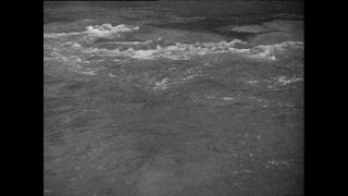 Link zum Video | Paul Lieberenz