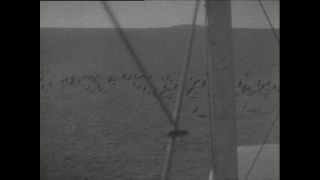 Link to Video | Paul Karl Lieberenz, airplane, Kamerun