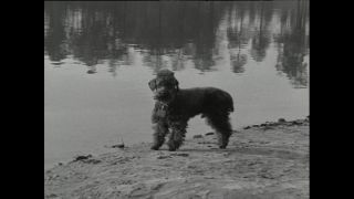 Link to Video | Paul Karl Lieberenz