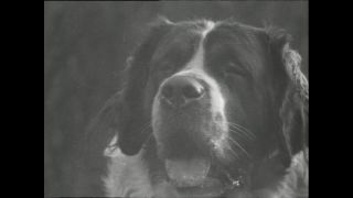 Link to Video | Paul Karl Lieberenz