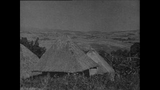 Link to Video | Paul Karl Lieberenz