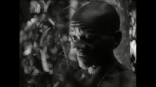 Link to Video | Paul Karl Lieberenz