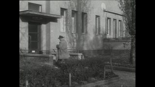 Link to Video | Paul Karl Lieberenz