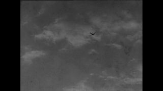 Link to Video | Paul Karl Lieberenz, airplane, Kamerun