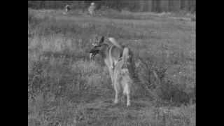 Link to Video | Paul Karl Lieberenz