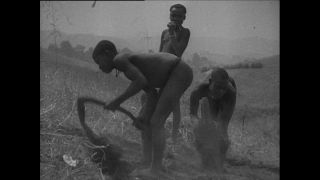 Link to Video | Paul Karl Lieberenz