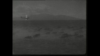 Link to Video | Paul Karl Lieberenz, airplane, Kamerun