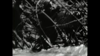 Link to Video | Paul Karl Lieberenz