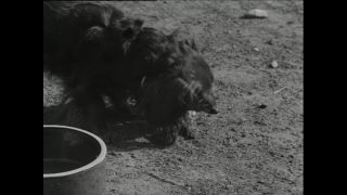 Link to Video | Paul Karl Lieberenz